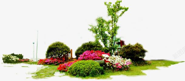 野外美景花朵装饰树木png免抠素材_新图网 https://ixintu.com 树木 美景 花朵 装饰 野外