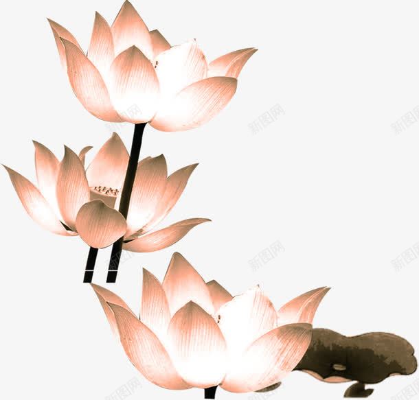 粉色荷花水墨画文房四宝png免抠素材_新图网 https://ixintu.com 文房四宝 水墨画 粉色 荷花