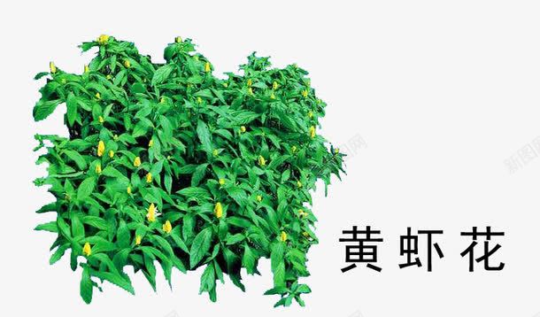 花草树木png免抠素材_新图网 https://ixintu.com 花草树木