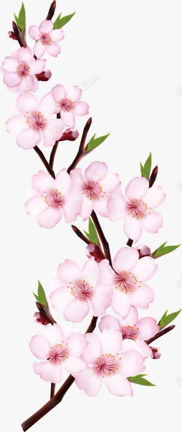 手绘扁平红色桃花质感效果png免抠素材_新图网 https://ixintu.com 扁平 效果 桃花 红色 质感