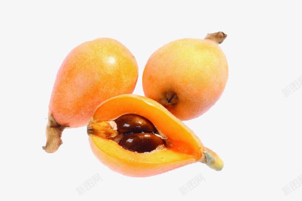 清新枇杷png免抠素材_新图网 https://ixintu.com 新鲜 枇杷 水果 清新 芦枝 黄色枇杷
