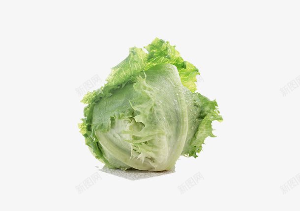 食物包菜png免抠素材_新图网 https://ixintu.com 上海青 剩菜 包菜 青菜 食物