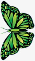 左侧蝴蝶png免抠素材_新图网 https://ixintu.com 左侧 素材 蝴蝶