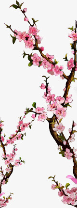 桃花装饰图案psd免抠素材_新图网 https://ixintu.com 桃花 清新 粉色 装饰