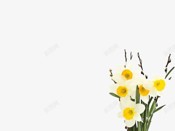 黄色小花PPT元素png免抠素材_新图网 https://ixintu.com PPT PPT元素 PPT模板 背景 花