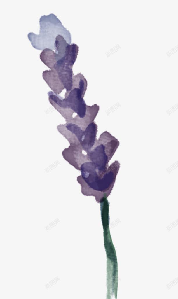 薰衣草png免抠素材_新图网 https://ixintu.com 小清新 水彩 花朵 薰衣草