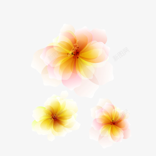 黄色鸡蛋花png免抠素材_新图网 https://ixintu.com 植物 水磨 装饰 鸡蛋花 黄色