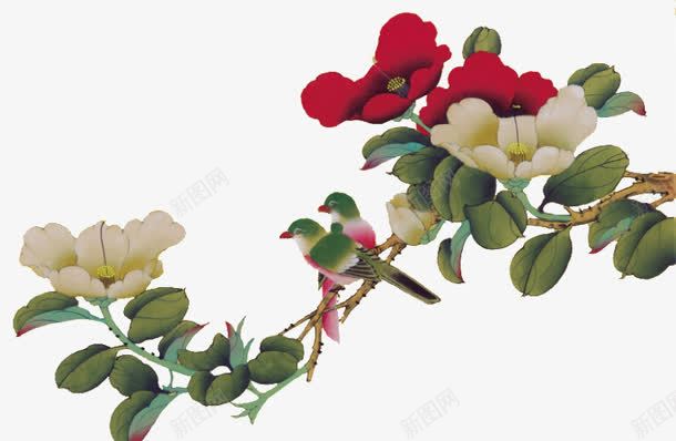 喜鹊绿叶红白花朵png免抠素材_新图网 https://ixintu.com 喜鹊 绿叶 花朵