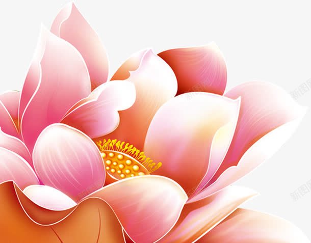 手绘粉色梦幻花瓣png免抠素材_新图网 https://ixintu.com 梦幻 粉色 花瓣