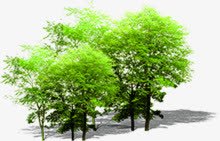 摄影绿色草本树木png免抠素材_新图网 https://ixintu.com 摄影 树木 绿色 草本