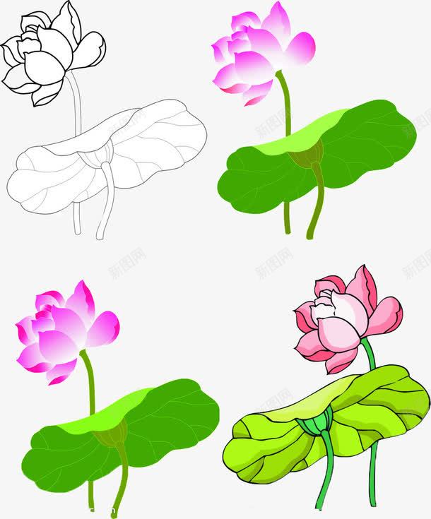素雅荷花png免抠素材_新图网 https://ixintu.com 手绘 素材 荷花 装饰