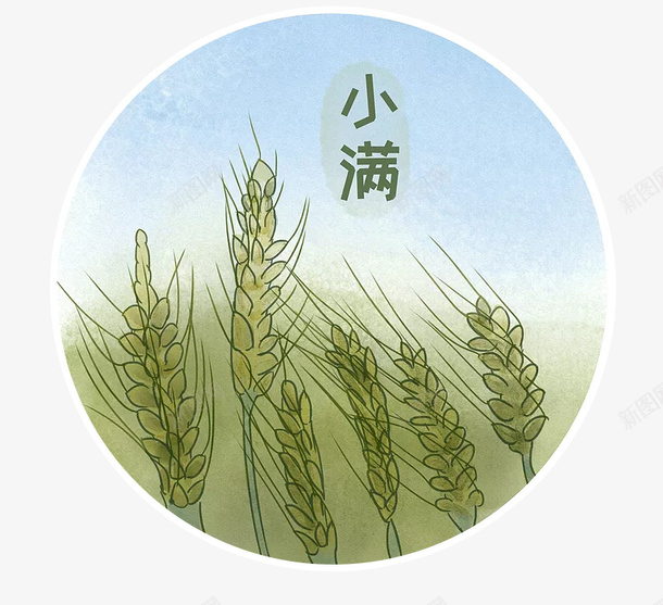 小清新二十四节气小满