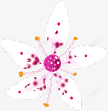 手绘花卉网址模板png免抠素材_新图网 https://ixintu.com 模板 网址 花卉