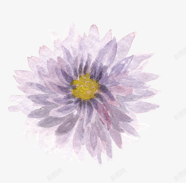 水彩风花朵装饰png免抠素材_新图网 https://ixintu.com 水彩风 花卉 花朵装饰