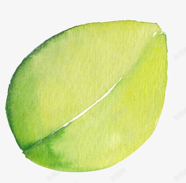 花朵png免抠素材_新图网 https://ixintu.com 植物 花 花叶 花朵 花草 装饰图案