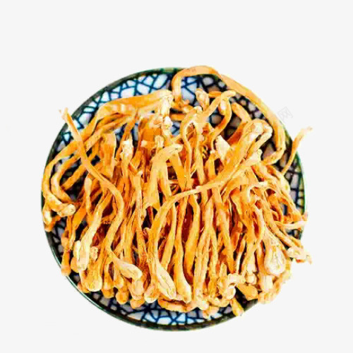 盘装虫草花png免抠素材_新图网 https://ixintu.com 植物 虫草花 食物 黄色