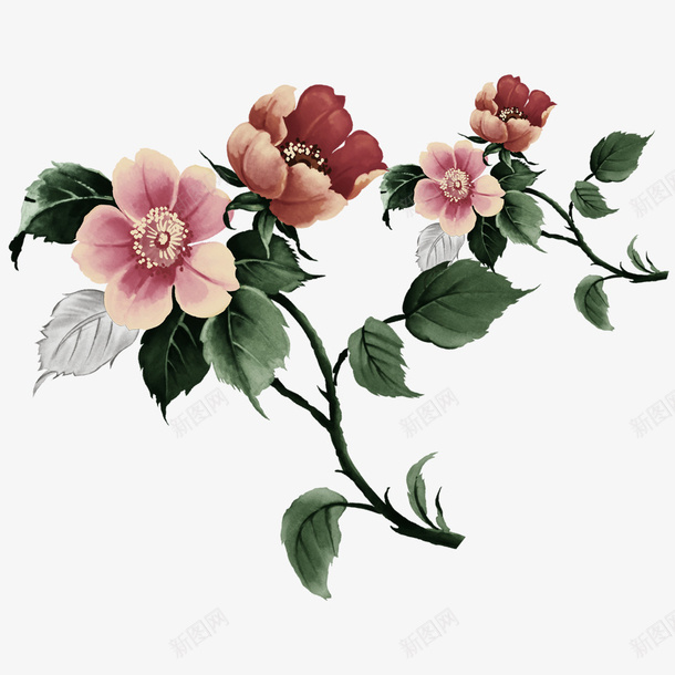 唯美国画花朵png免抠素材_新图网 https://ixintu.com 唯美 国画 花朵