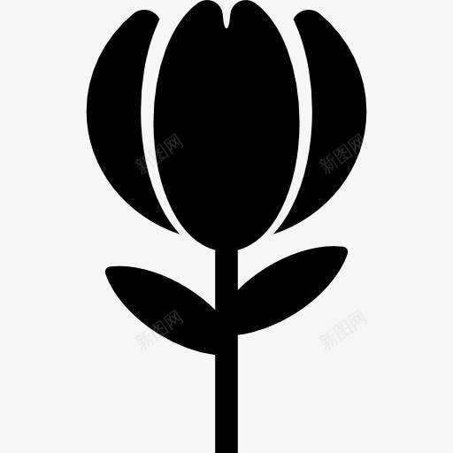 花干图标png_新图网 https://ixintu.com 自然 花 花瓣 茎 装饰