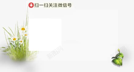 绿色草丛微信海报背景png免抠素材_新图网 https://ixintu.com 海报 绿色 背景 草丛