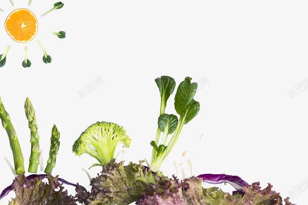 植物绿色的养生png免抠素材_新图网 https://ixintu.com 养生 四季 四季养生 坚持 平面 漫画 生机勃勃 绿色 长寿