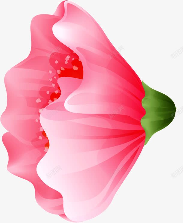 美丽的花png免抠素材_新图网 https://ixintu.com 粉色 美丽 花儿