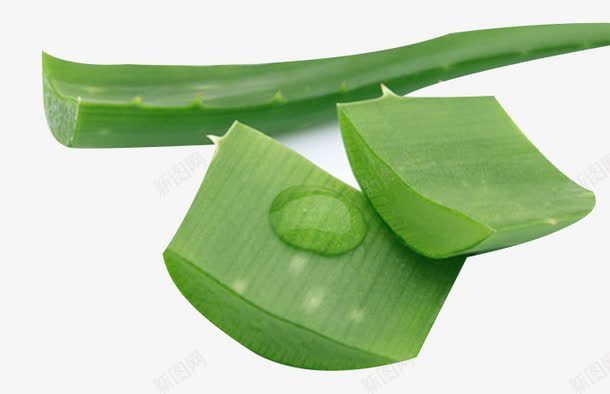 绿色芦荟材料png免抠素材_新图网 https://ixintu.com 芦荟制品 芦荟材料 芦荟汁 芦荟食材