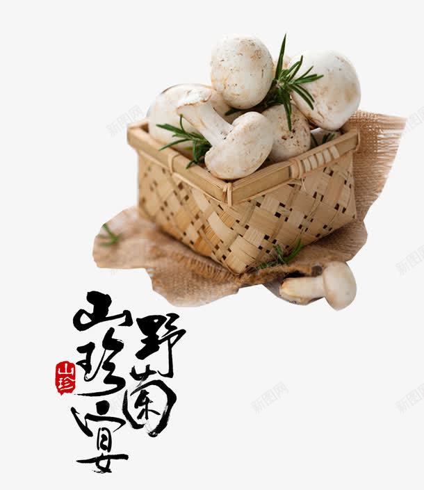 野菌png免抠素材_新图网 https://ixintu.com 产品实物 山珍 菌 野山菌