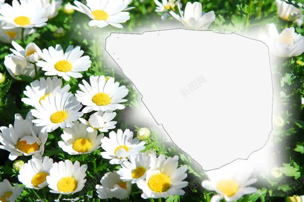 花png免抠素材_新图网 https://ixintu.com 白花 简约 花边框 边框