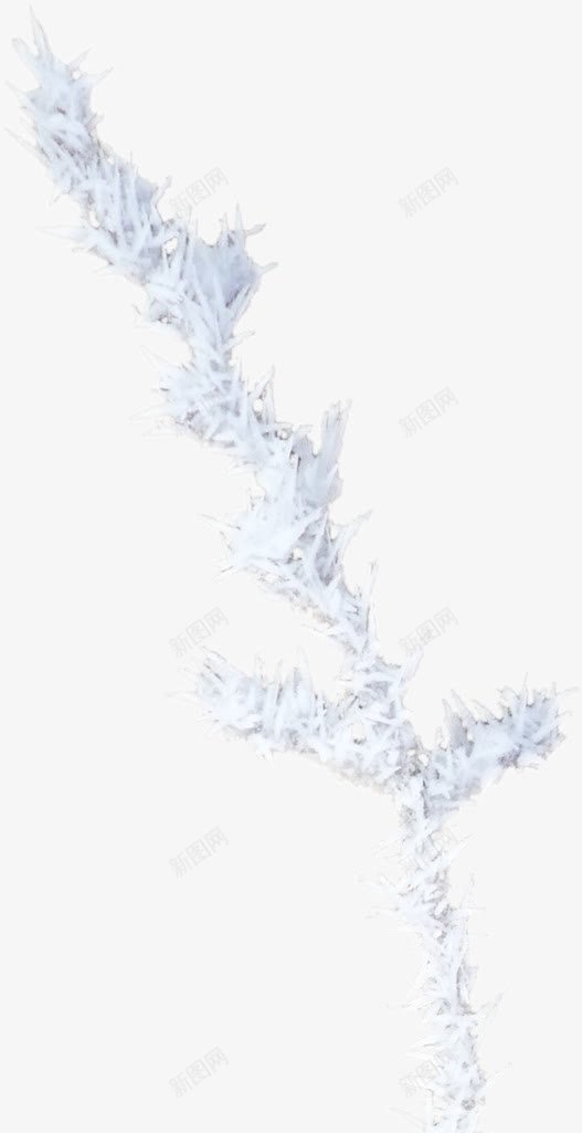 白雪树枝png免抠素材_新图网 https://ixintu.com 冬季 冬季剪辑素材 冬季树枝 冬季植物