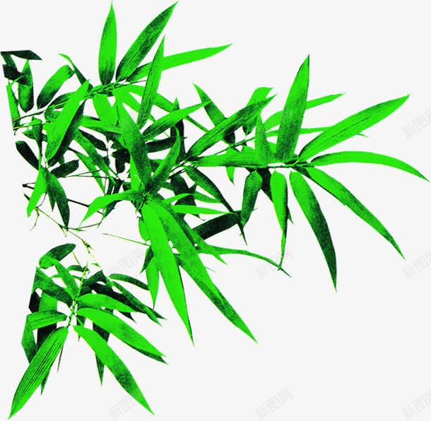 绿色环保竹叶装饰春天png免抠素材_新图网 https://ixintu.com 春天 环保 竹叶 绿色 装饰