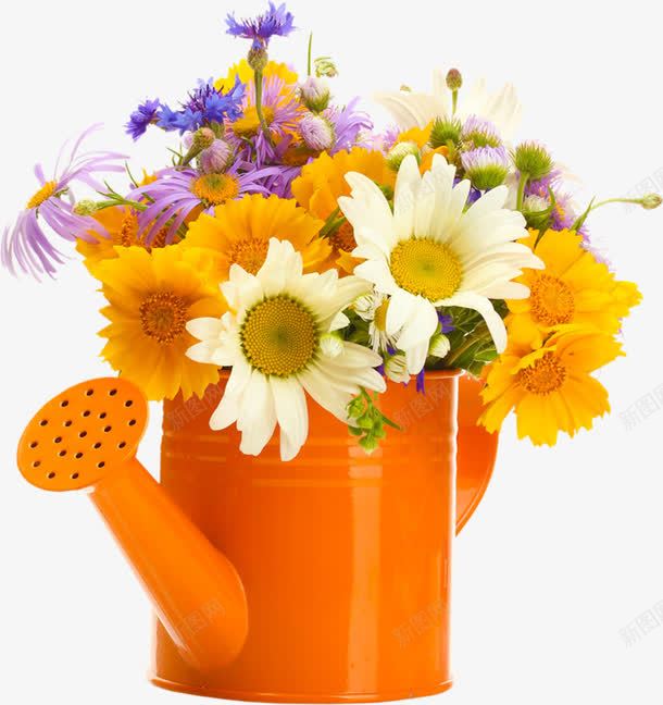 装满鲜花的花洒png免抠素材_新图网 https://ixintu.com 浇水 浇水器 浇花 花洒