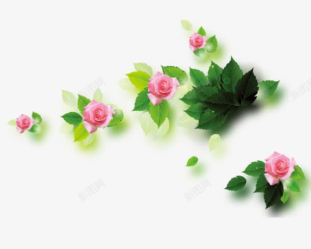 粉色玫瑰花绿叶png免抠素材_新图网 https://ixintu.com 叶子 玫瑰花 粉色 绿色 花朵