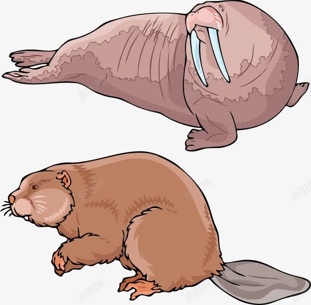 卡通海狮png免抠素材_新图网 https://ixintu.com 动物插画 卡通动物 卡通动物漫画 海狮 生物世界 陆地动物