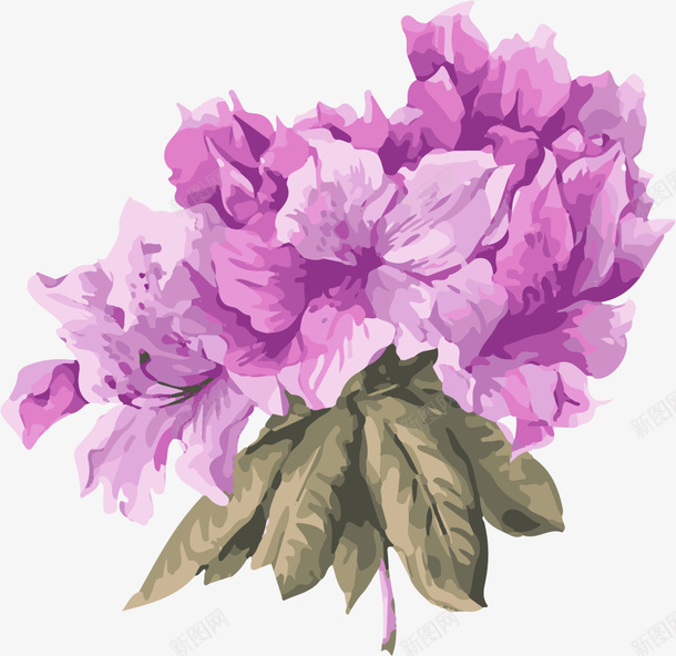 水彩卡通手绘紫色水彩鲜花png免抠素材_新图网 https://ixintu.com 卡通手绘紫色水彩鲜花 卡通鲜花 手绘花朵 水彩 水彩花朵 水彩鲜花 紫色花朵 花卉 花卉植物 花朵 鲜花