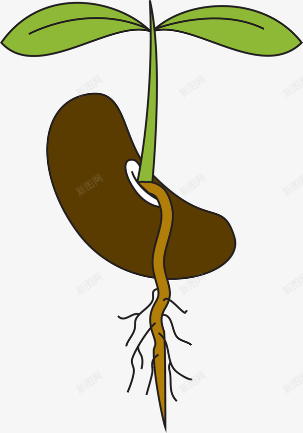 咖啡色春季种子草苗png免抠素材_新图网 https://ixintu.com 春天 春季 春日 树苗 植树节 生长 自然 草苗