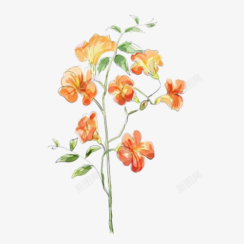 手绘橙色花朵海报背景png免抠素材_新图网 https://ixintu.com 手绘 橙色 海报 背景 花朵