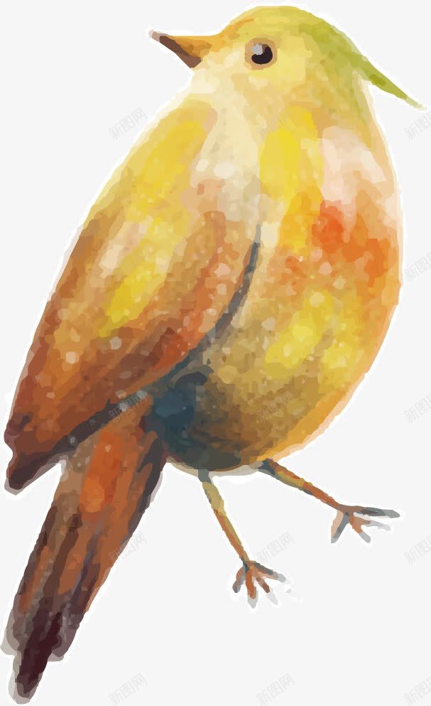 啄木鸟装饰手绘卡通png免抠素材_新图网 https://ixintu.com 啄木鸟 啄木鸟装饰 手绘卡通 装饰手绘卡通