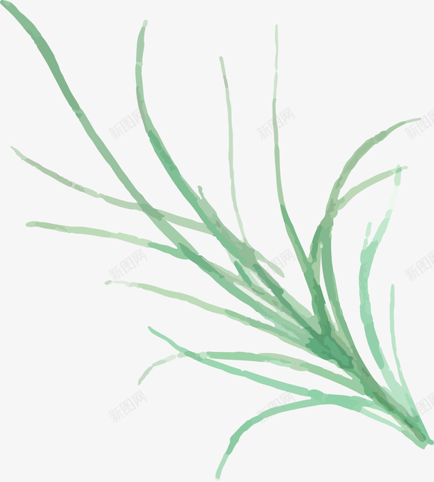 水彩花卉植物png免抠素材_新图网 https://ixintu.com 彩绘 手绘 植物 水彩 水彩花卉植物 简易水彩 花卉植物