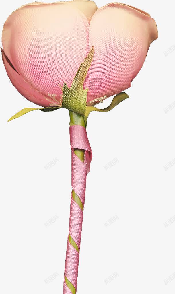 一朵美丽的花png免抠素材_新图网 https://ixintu.com 一朵 粉色 美丽的花 装饰
