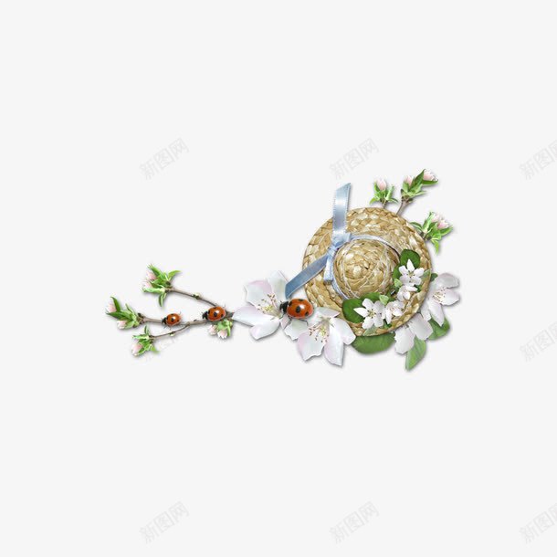花框花边png免抠素材_新图网 https://ixintu.com 底纹边框 花卉 花朵 花框 花边 花边框 花边花框 花边花纹 草帽