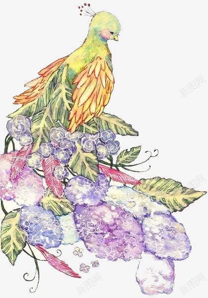 手绘唯美小清新孔雀png免抠素材_新图网 https://ixintu.com 唯美 孔雀 小清新 手绘