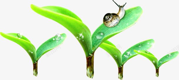 绿色环保植物发芽蜗牛png免抠素材_新图网 https://ixintu.com 发芽 植物 环保 绿色 蜗牛