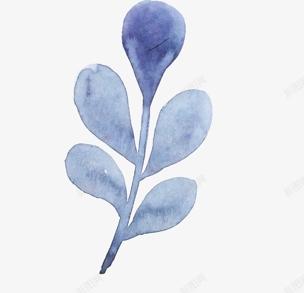 花水彩蓝色png免抠素材_新图网 https://ixintu.com 水彩 花 蓝色