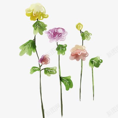 前景装饰花草png免抠素材_新图网 https://ixintu.com 前景装饰 花草