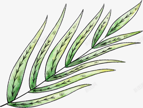 手绘绿色植物叶子png免抠素材_新图网 https://ixintu.com 小清新 手绘叶子 水彩 简约 绿色叶子 绿色植物