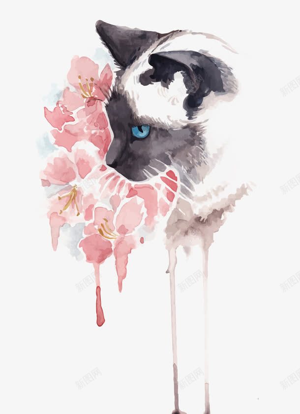 花和猫png免抠素材_新图网 https://ixintu.com PNG图片 PNG图片素材 PNG素材 PNG素材免费下载 水擦 猫 花朵