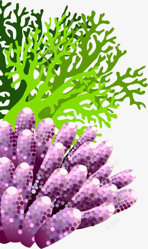 卡通水草png免抠素材_新图网 https://ixintu.com 卡通 水草 珊瑚