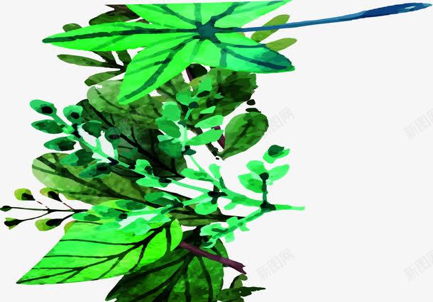 摄影夏季手绘插画树叶png免抠素材_新图网 https://ixintu.com 夏季 插画 摄影 树叶