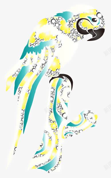 梦幻动物之鹦鹉插画png免抠素材_新图网 https://ixintu.com 动物 插画 矢量插画