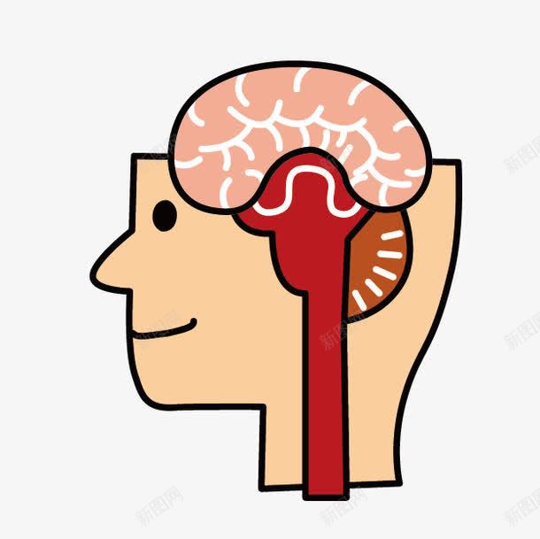 卡通人体图png免抠素材_新图网 https://ixintu.com 人体图 卡通人体图 大脑 闹